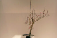 日本生花司 松月堂古流 岐阜県支部 いけばな展