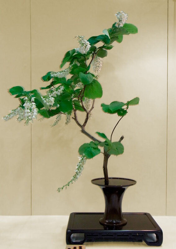 日本生花司 松月堂古流 尾張支部 春のいけばな展