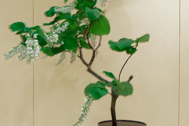 日本生花司 松月堂古流 尾張支部 春のいけばな展