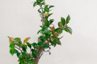 日本生花司 松月堂古流 東三支部 春のいけばな展